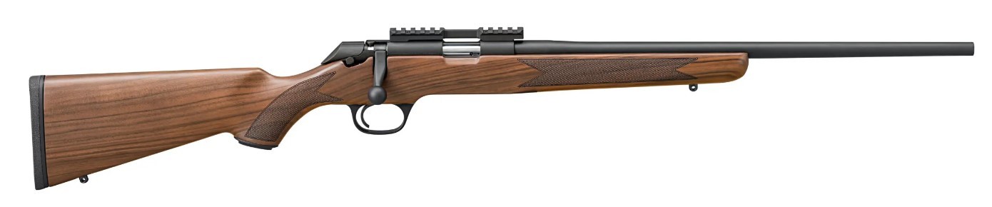 SPR 2020 CL WLNT GD A 22LR - Taurus Savings